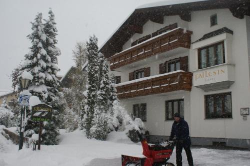 Haus Fallesin