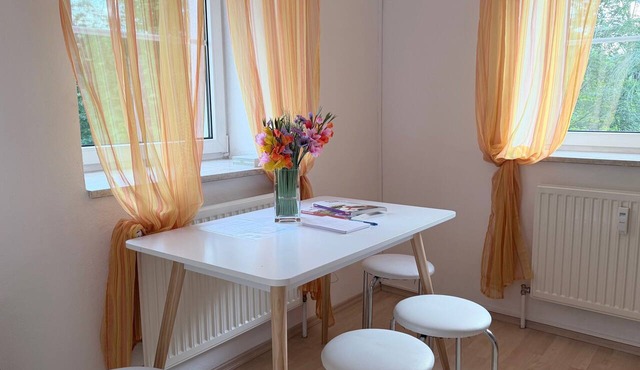 Holiday Home 'Zentrale Altbauwohnung' with Wi-Fi