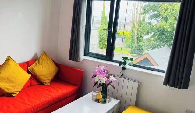 Homely new apartment with free parking & easy walk to the City Centre or beach in Galway