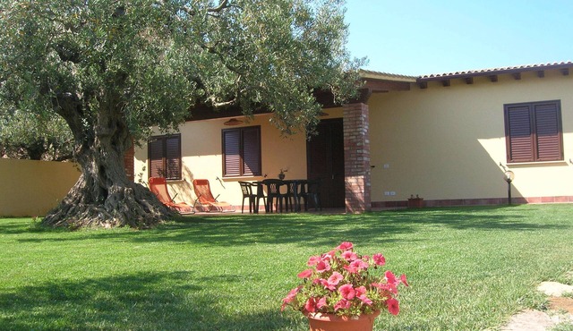 House Immersed among the centuries-old olive trees in Sciacca