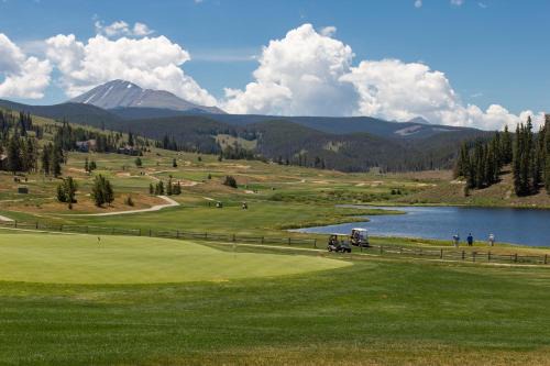 Inas Way Townhomes Unit D in Keystone