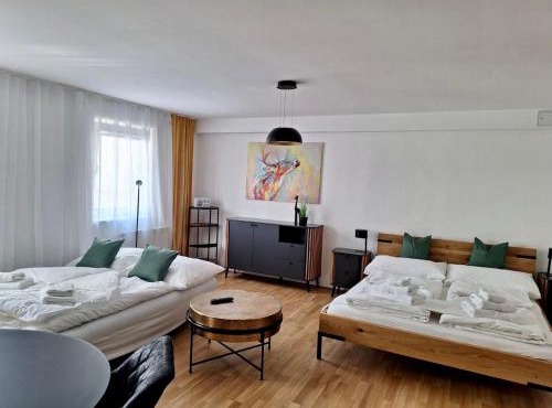 Klimatisiertes Altstadt-Apartment mit Terrasse im Zentrum Sankt Pölten - Aelium Cetium