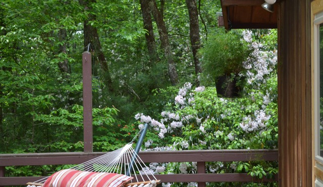 Lindal cedar home located next to Dupont State Recreational Forest. in Cedar Mountain