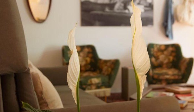 Locanda Hemingway in Bassano del Grappa