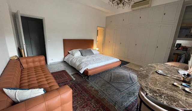Loue Beau Studio Tout Confort en Plein Centre de Monaco in Monaco