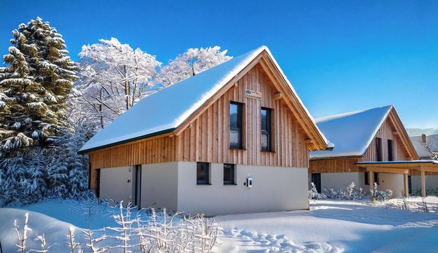 Luxurious chalet with sauna