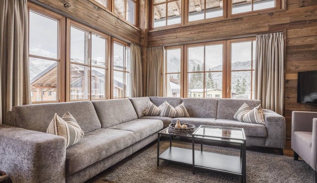 Modern chalet in the willow roof