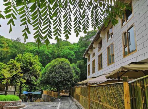 Mount Emei Bamboo Private Hot Spring Bed and Breakfast in Leshan