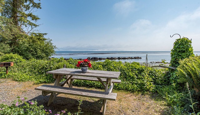 OceanFront Cottage, Beachwander for miles &/or explore the Olympic National Park in Sekiu