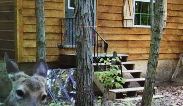 Off grid cabin adjacent to Corp of Engineers ground. Perfect Deer Camp in Windsor