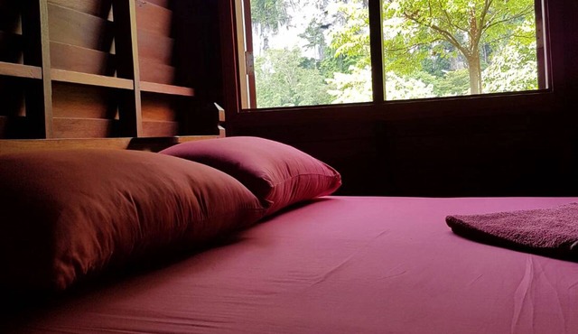 Phanom Bencha Mountain Resort in Krabi