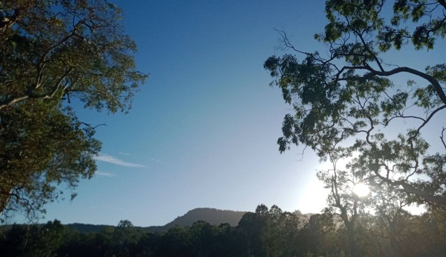 Relax on our farm, explore the local Tamborine and Canungra area in Boyland