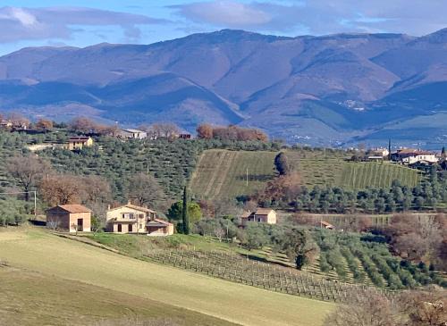 Residenza Marrone in Montefalco