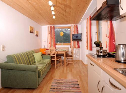 Single Apartment Martlerhof