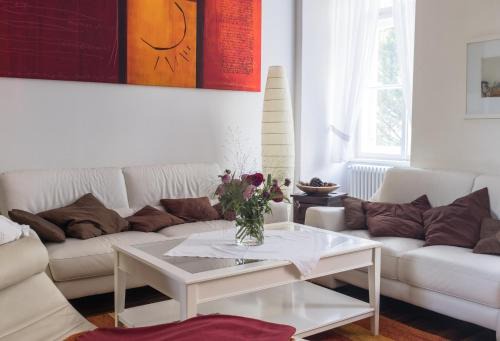 Spacious old town luxury apartment in Linz