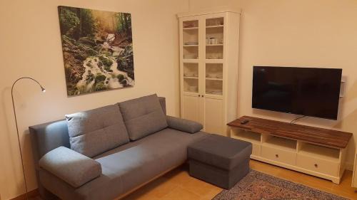 Specially equipped mini apartment! in Forchtenstein