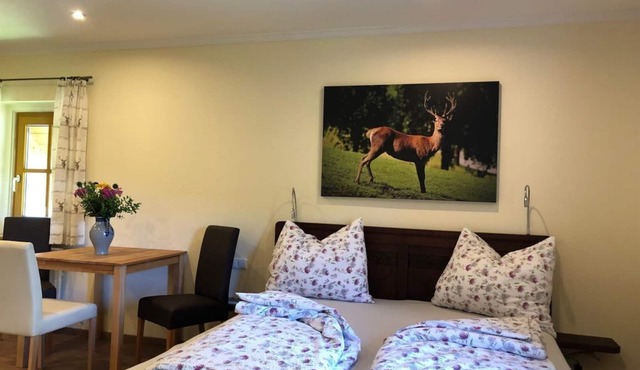 "Studio Georg"/1 bedroom/DU/WC - Gästehof Annerl