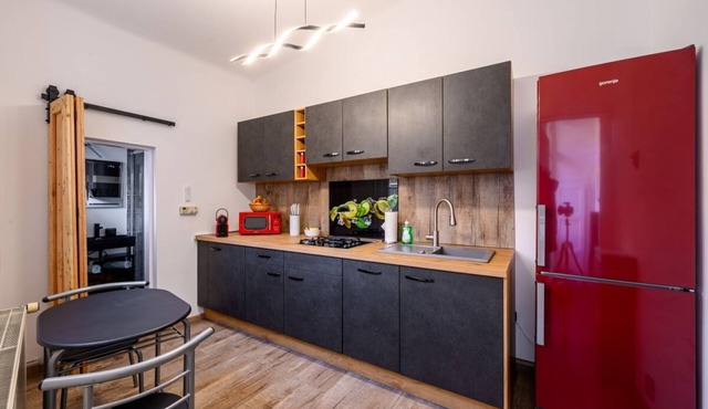Top@Park, the luxurious apartment in the heart of Graz, with private parking