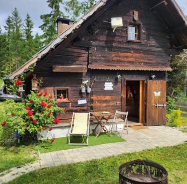 Urige Waldbienenhütte