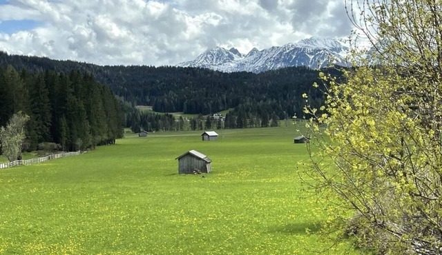 Vacation apartment/apartment for 6 guests with 75m² in Leutasch (186271)
