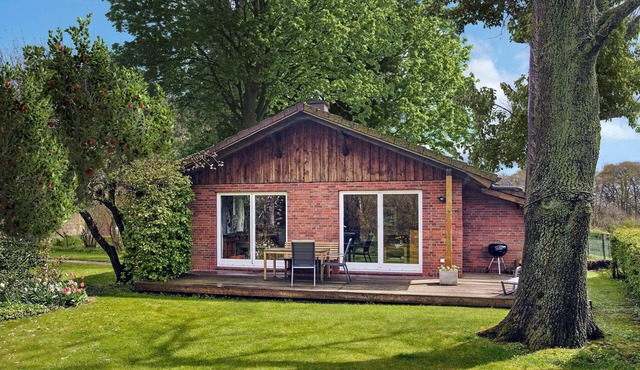 Vacation home "Apfelgarten" for 3 adults, 1 child and 2 dogs. in Steinbergkirche - Ostsee