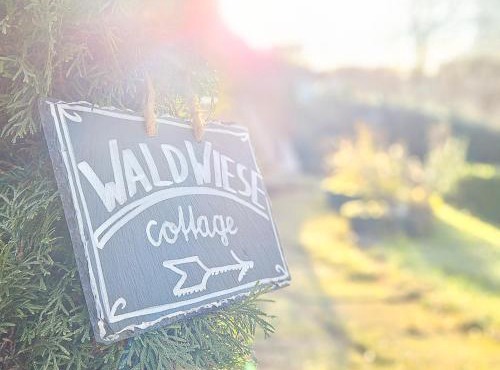 WALD WIESE cottage in Steinbach-Hallenberg