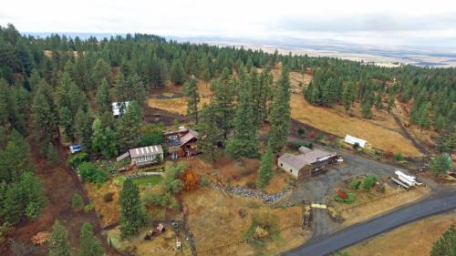 Whitebird Summit BNB in Whipsaw Saddle