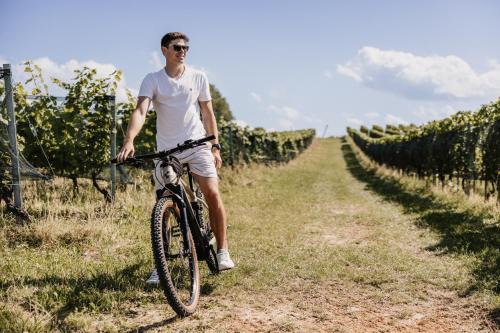 Winzerhäuser Skringer Wohnen im Weingarten