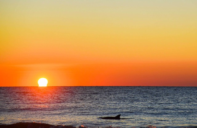 Oceanfront condo w/free WiFi, balcony, shared pool & tennis court, & private W/D in Hilton Head
