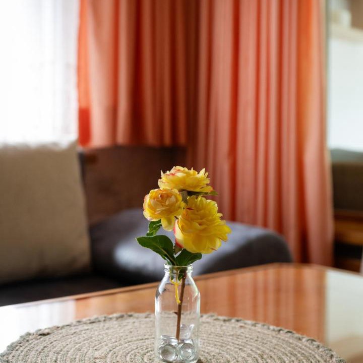 Silbertal Apartment | VALMUNT Apartment - by Hotel Hirschen