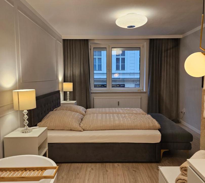Weißgerber Apartment | Luxury Apartment with Sauna in City Center