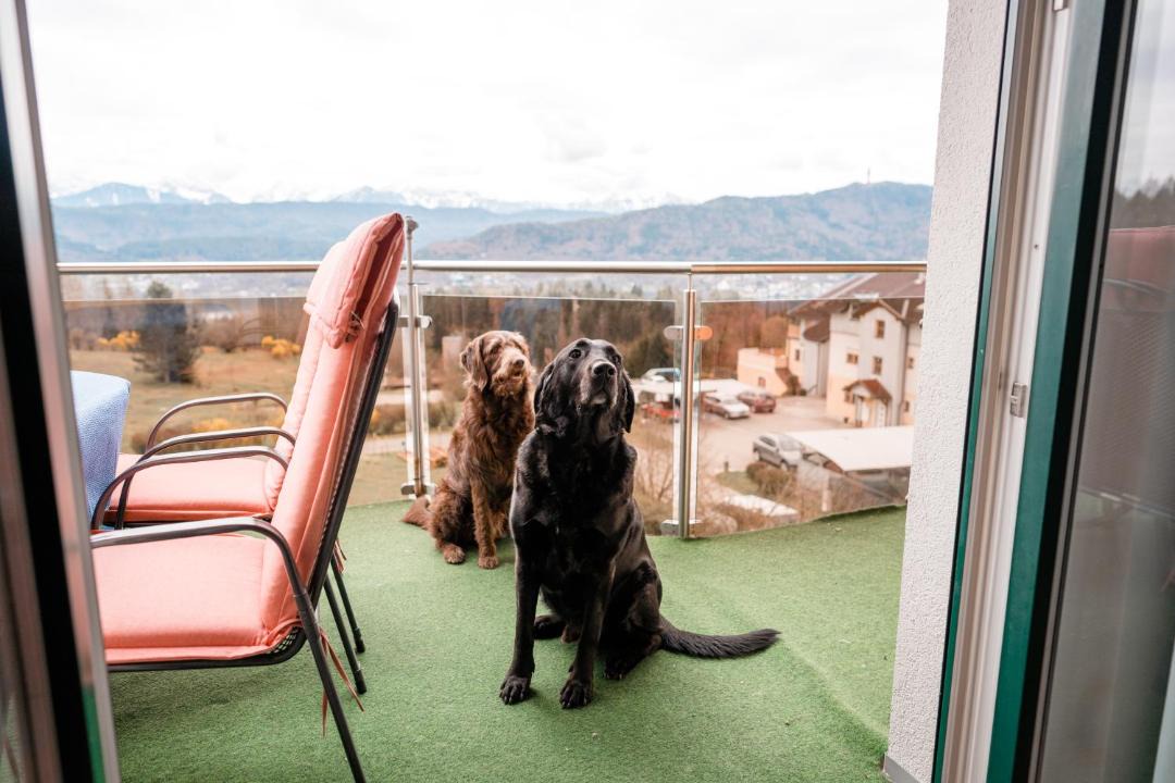 Krumpendorf am Woerther See Apartment | Urlaub für Mensch und Tier - Appartements Pirkhof