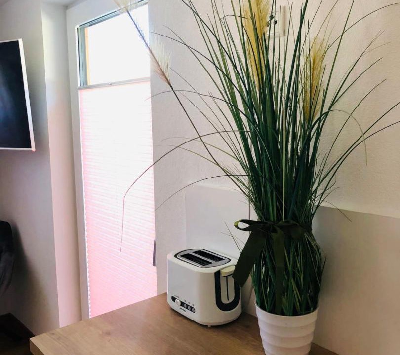 Tulfes Apartment | Helle und freundliche Ferienwohnung