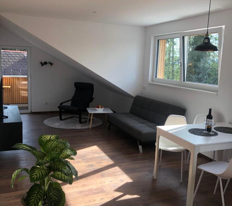 Hoerbranz Apartment | Haus Geiger