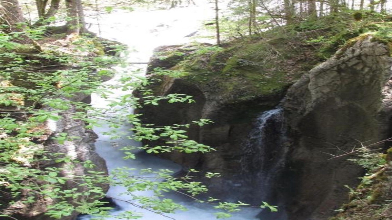 Photo of Others in Sibratsgfaell