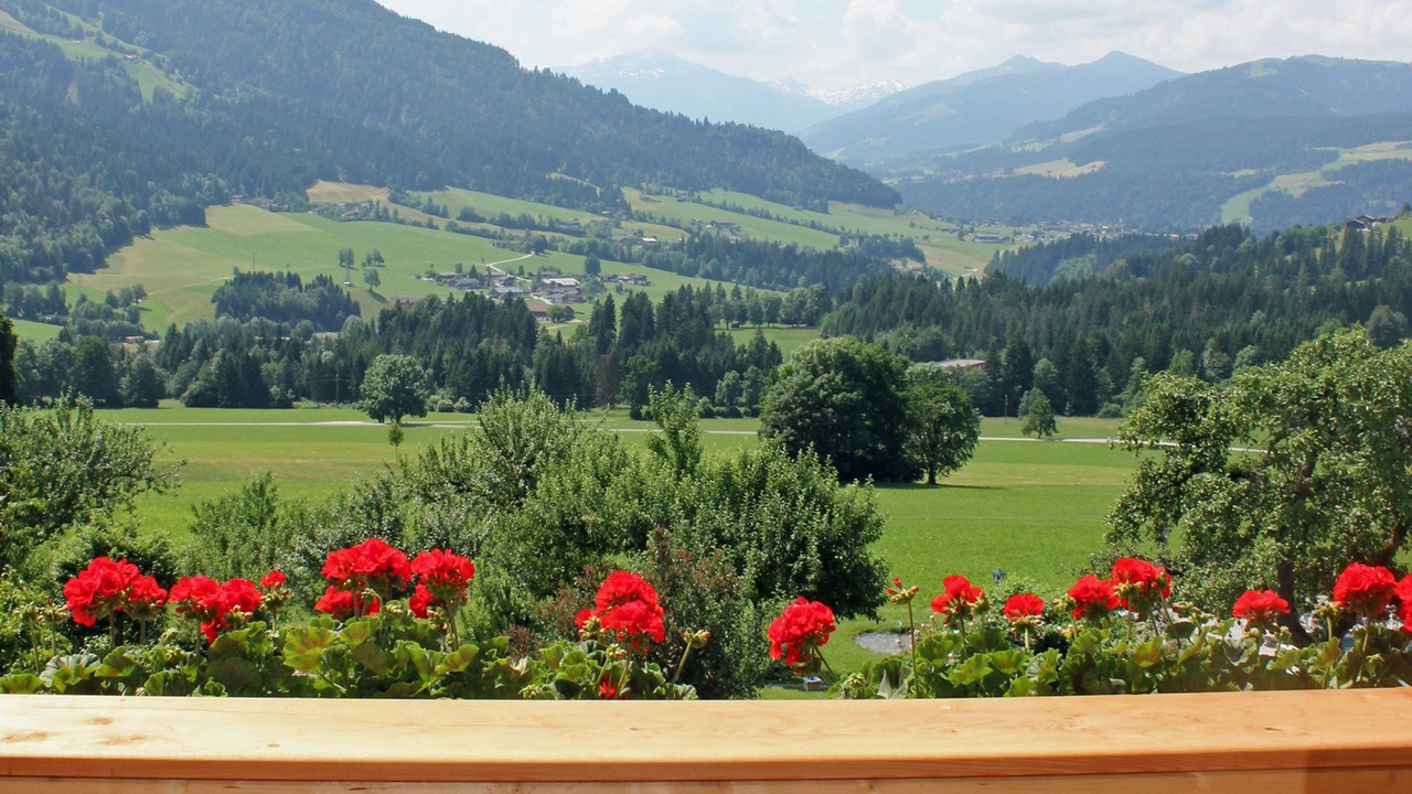 Photo of Patio Balcony in Soell