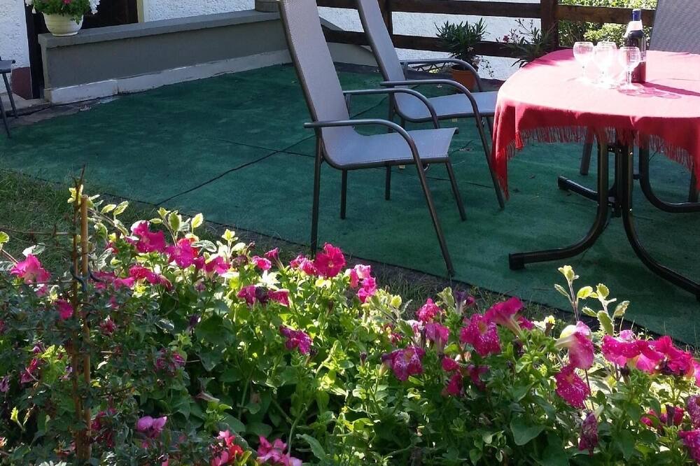 Photo of Outdoor in Navis