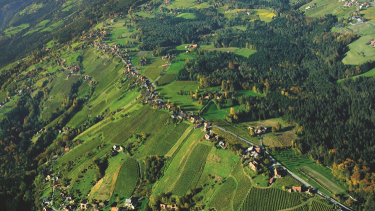 Photo of Others in Stainz