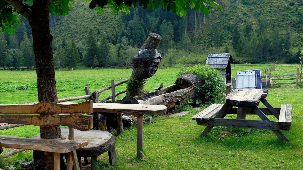 Photo of Outdoor in Donnersbachwald