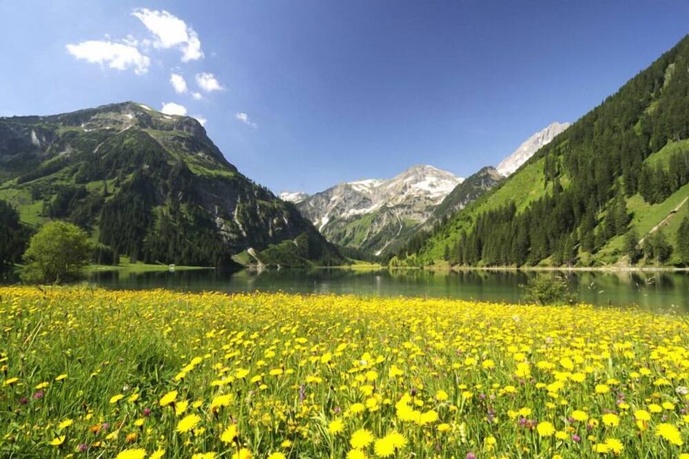 Photo of Outdoor in Graen