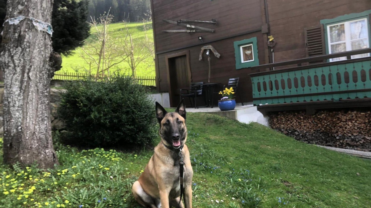 Photo of Outdoor in Bramberg am Wildkogel