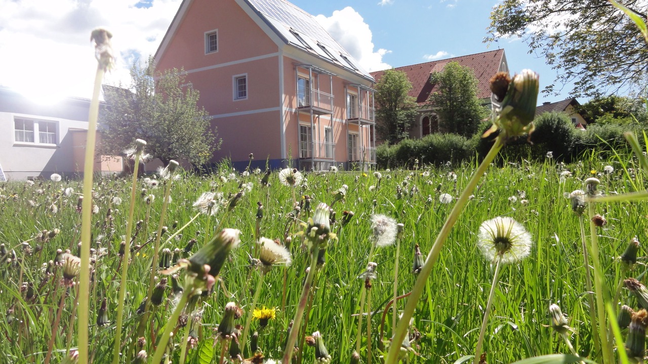 Photo of Outdoor in Mautern in Steiermark