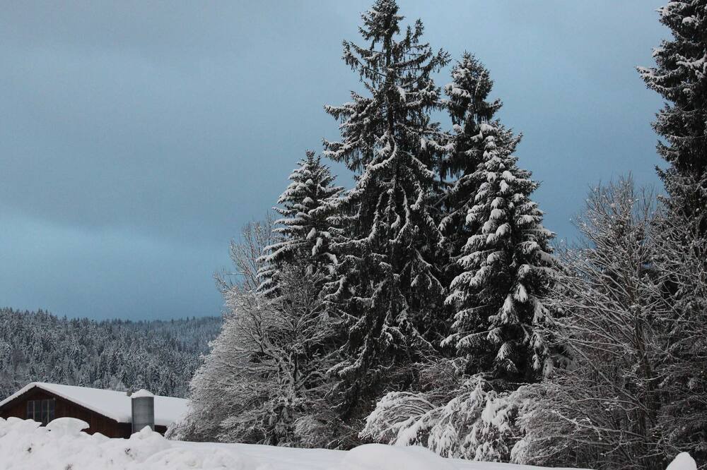 Photo of Outdoor in Alberschwende