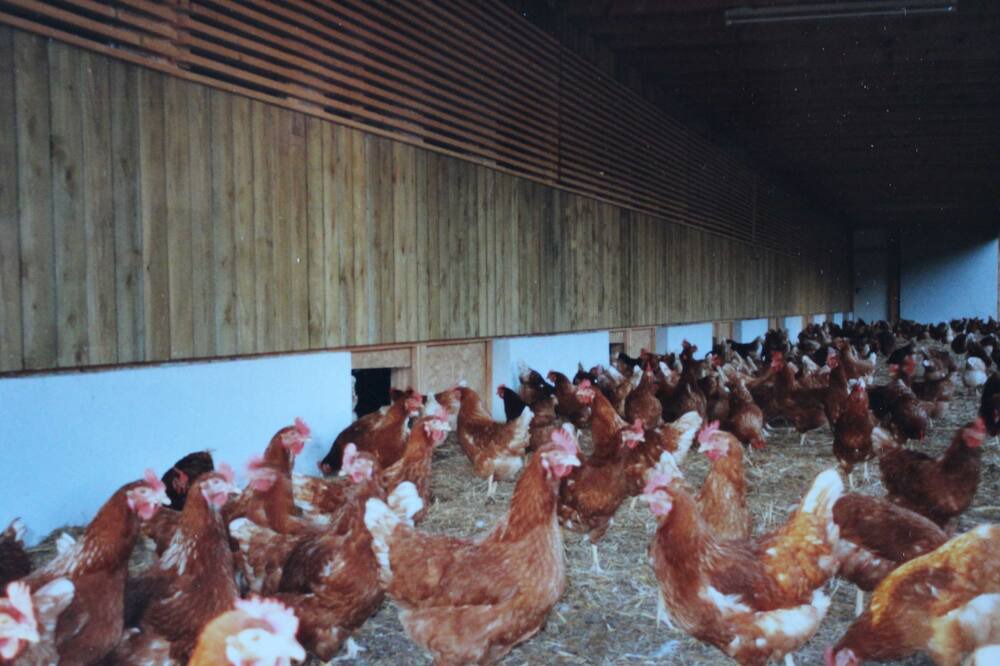 Photo of Others in Alberschwende