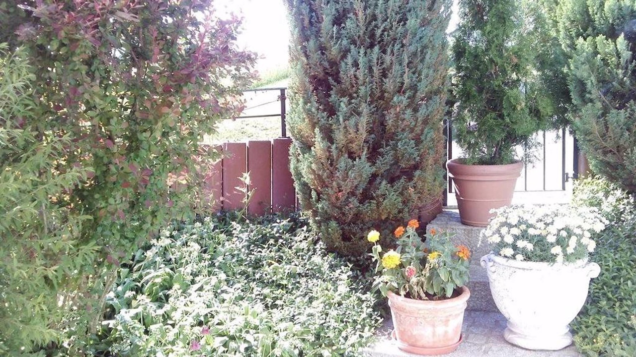 Photo of Outdoor in Seefeld in Tirol