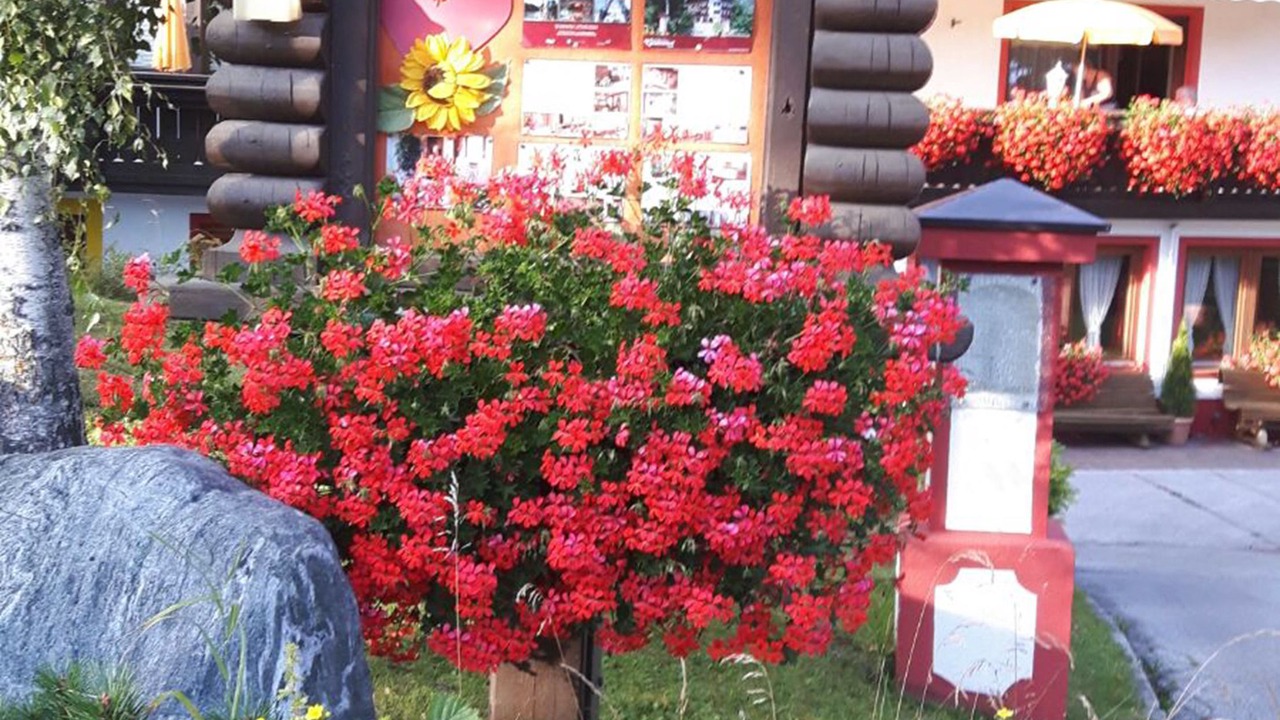 Photo of Outdoor in Seefeld in Tirol