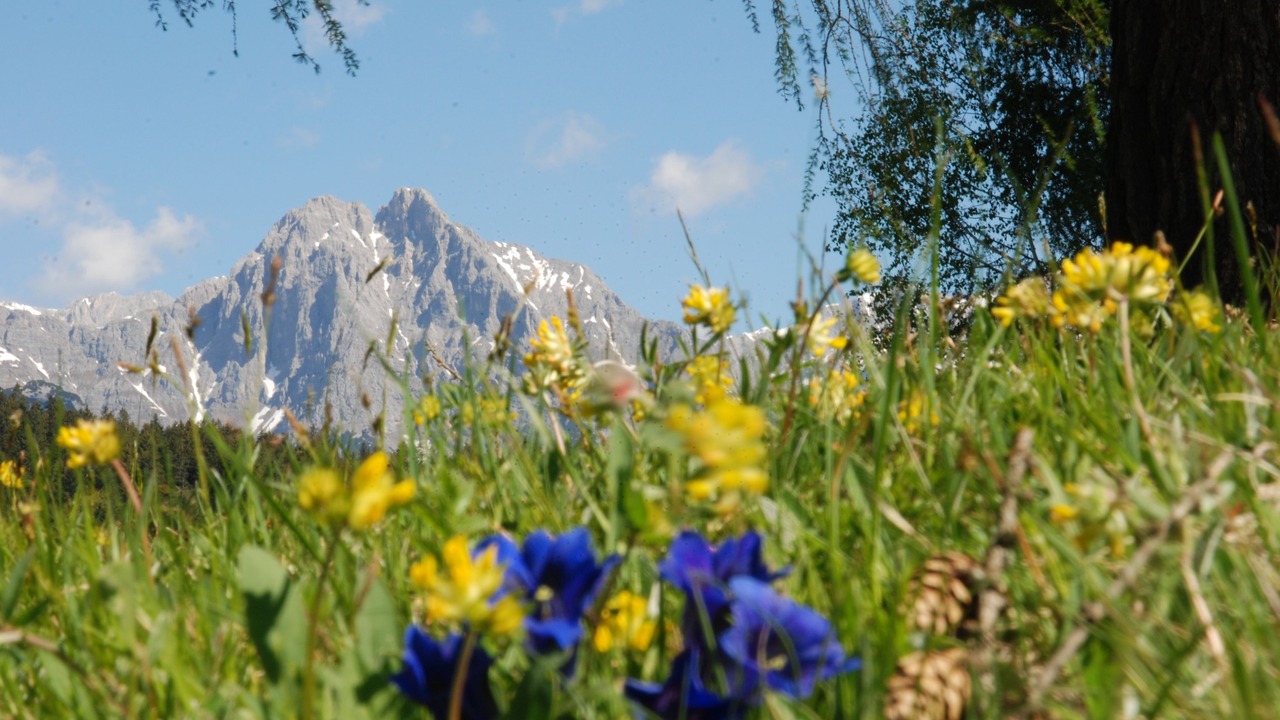 Photo of Outdoor in Seefeld in Tirol