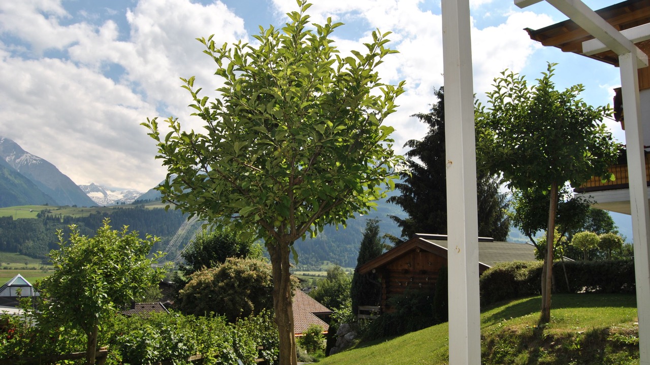 Photo of Outdoor in Furth