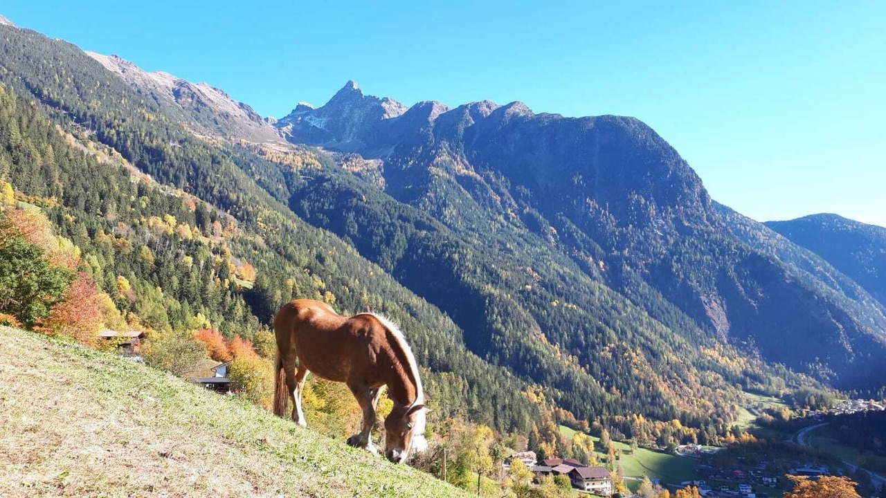 Photo of Outdoor in Haiming