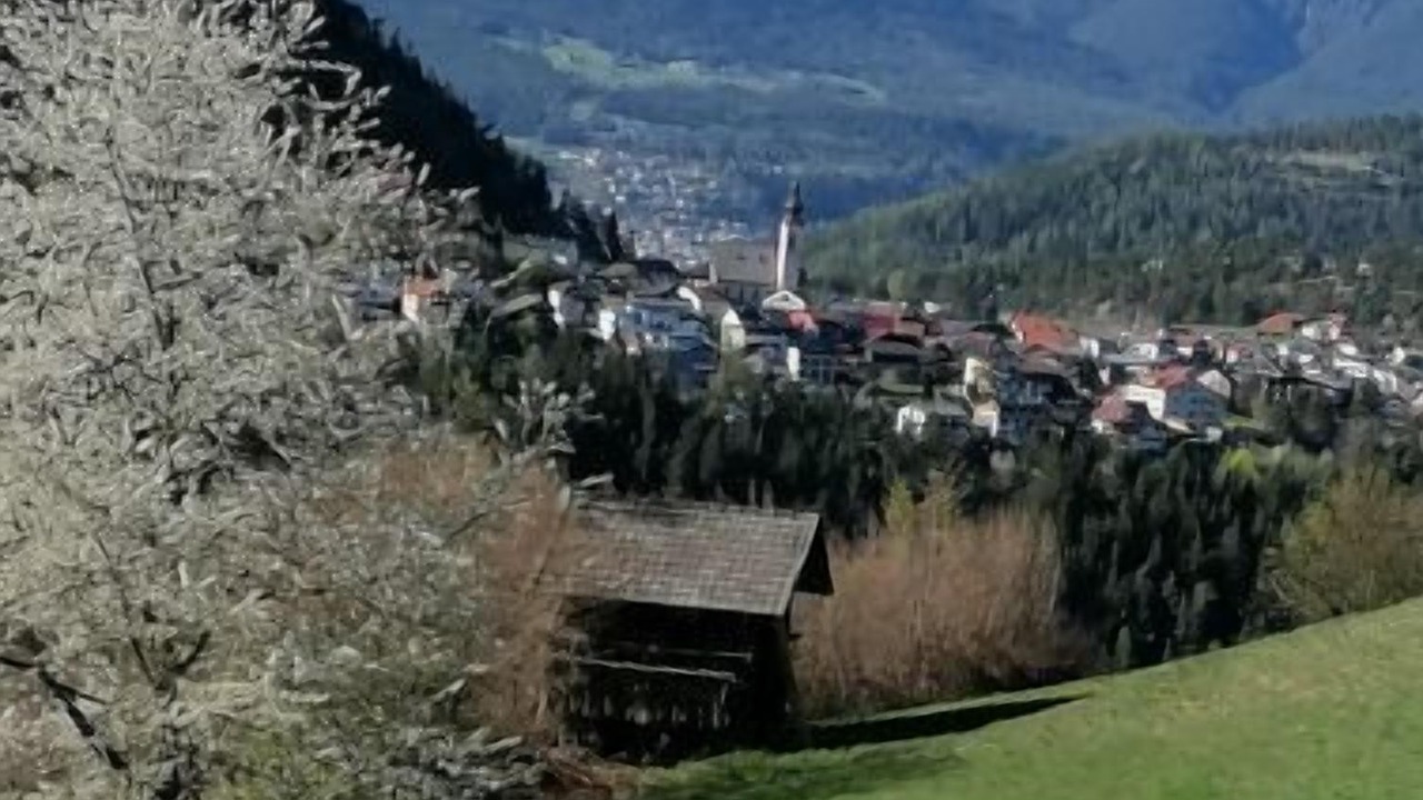 Photo of Outdoor in Trenkwald